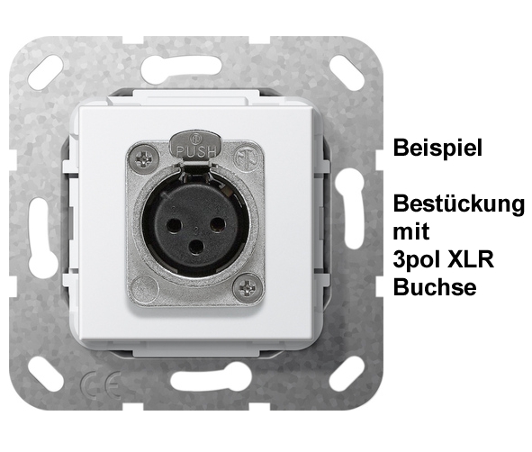 D-Type-Traeger-GIRA-85-771-03400-Doseneinsatz