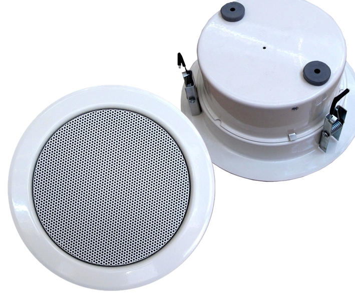 Deckenlautsprecher-EN5424-DELF165-6PP